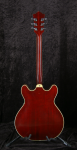 
                            Guild Starfire IV